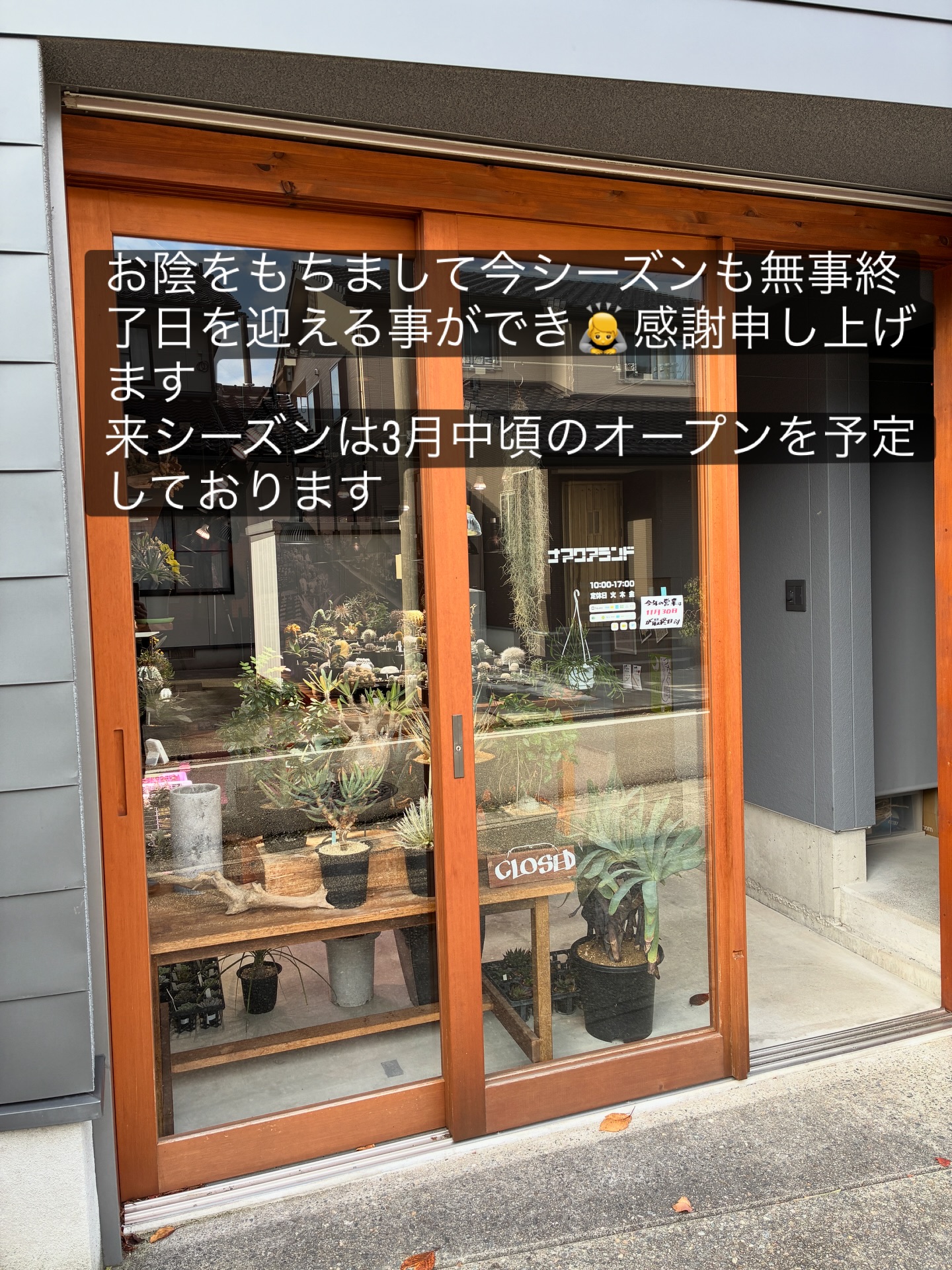 お陰をもちまして今シーズンの最終日を無事迎える事が出来ました　これもひとえにご来店頂いたお客様のお陰であり感謝申し上げます🙇
4年目となる来シーズンは例年同様に3月中旬頃再オープンを予定しております
.
当店のこのスタイルはオープン初年度からこのサイクルで運営させて頂いておりまして冬季は白山一里野温泉スキー場にてスキーインストラクターをしております　ウインタースポーツに興味のある方は是非スキー場に遊びに来て下さい
.
During the off-season at my shop, I teach skiing at Hakusan Ichirino Onsen Ski Resort.
If you would like to learn how to ski, please feel free to email me directly.
.
#白山一里野温泉スキー場 
.
#塊根植物 #ナマクアランド